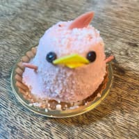 久々のぴよりん～♪