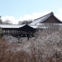 2012年2月18日(土)　東福寺　通天橋