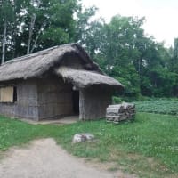 「めだかの学校」北海道開拓の村見学