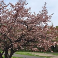足慣らし第二段「泉ヶ岳」
