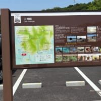 和歌山のウユニ塩湖？！　　田辺市天神崎　　2025.7.7