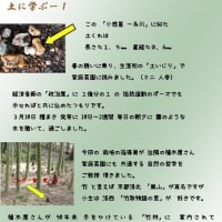 　土に学ぶ　１