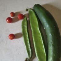 家庭菜園