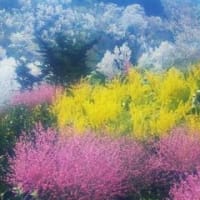 花見パーティーいってみる