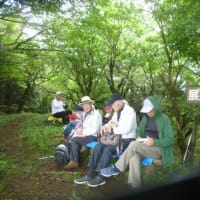 NTT-OB伊東地区旅行同好会春のハイキング