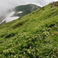 ２０２５年７月９日　北八甲田　赤倉岳・井戸岳のようす