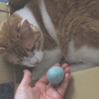 1分間の集中