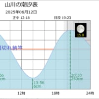 鯵釣り