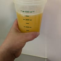 庭のみかんのお供え