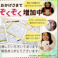 ノムダスの口コミを調べてみました！