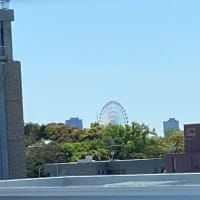 入院17日目