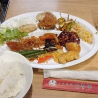 多分、中国人が嫌われる理由はコレ