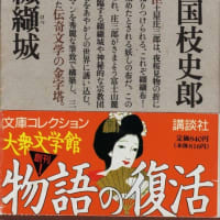 日本文学史上に残る傑作。『国枝史郎／神州纐纈城』