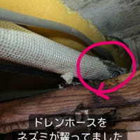 この夏のエアコンの水漏れ事例