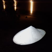 博多の夜を彩る