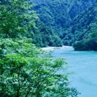 宇奈月渓谷鉄道・・・青空　新緑