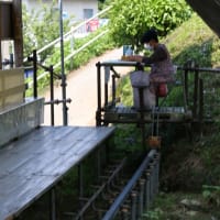 新宮あじさいの里