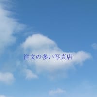 カメ漫だらだら石ちゃん散歩　快晴、だから青空フォトが撮れます。