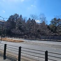 No.2255　チョイ奈良と『35年目のラブレター』
