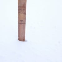 雪