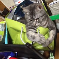 新聞入れで休憩中(*^▽^*)