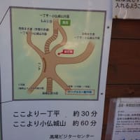 久しぶりの登山