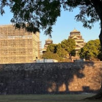 熊本城の”いま”を見る