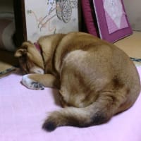 しあわせ