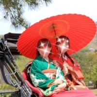 成人式前撮り『桜と着物フォト・奈良公園』