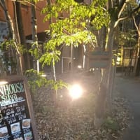 狂人遊戯3回目とレポーター