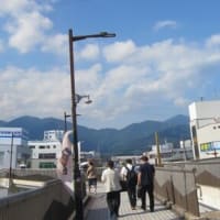 篠窪（しのくぼ）の隣町 龍生派窪寺様が「夏の調和」を生ける(2025/06/17）