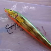 ストーム サンダーシャッド　11センチ