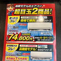 豊能梅 うめ子のひみつ 純米吟醸 火入れ（2025夏限定）