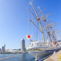 distorted Nippon Maru #04