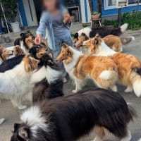 18ジャスミンキッズ　お誕生会　後編