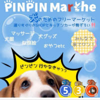 【埼玉県上尾市】2024年5月3日（金・祝）、４日（土・祝）ゴールデンウィーク『PINPIN Marche（