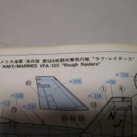 ハセガワ 1/72 マクドネル・ダグラス TF-18A ホーネット