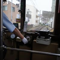 水曜日の松山出張　ブルドックのカツ丼