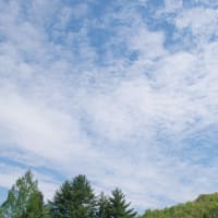 福沢羽山山開き（2025.5.3）#2 トン汁会場～林道大栗線～下戸内登山口～阿武隈東部広域農道～羽山の森美術館