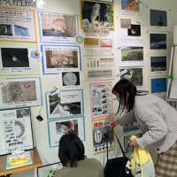 さがみ自然フォーラムに展示をしています