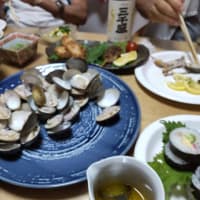 ６月２９日桑名総合運動公園