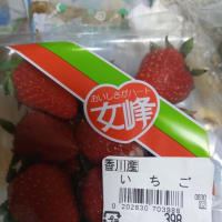 本日サンエー今川店に送ったクレームメール。昨日買ったイチゴにカビが。品質管理をちゃんとしてもらいたい。