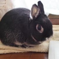 久しぶり