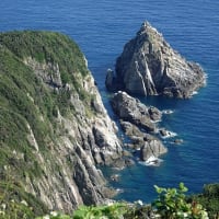 07/12思い出の旅日記　五島：大瀬崎への鳥見行-1（大瀬崎園地の模様）