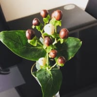 ＊おにぎりで朝ごはん＊