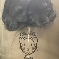 新入荷のお知らせ