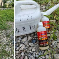 除草のための除草