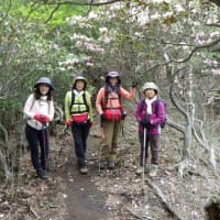 2025年5月18日（日）アケボノツツジとシャクナゲの道・・・障子岳・親父岳・黒岳・三尖