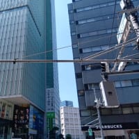 久々の出社