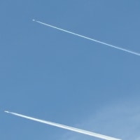 🔵夏を越せる気がしない🔵2025.7.1